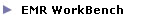 EMR WorkBench